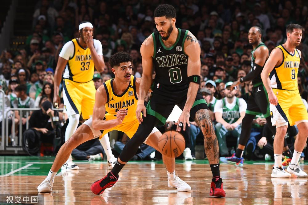 林的组合成 林的组合成